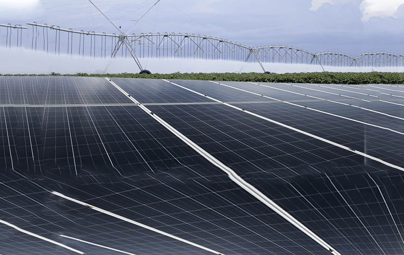 Agricultural: Solar PV and battery backup solutions to maximise productivity, optimise irrigation systems and ensure the smooth operation of critical farm equipment.